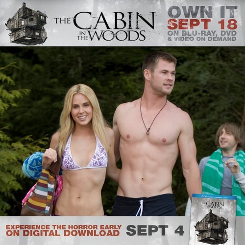 DVD-Blu-Ray-Promo-the-cabin-in-the-woods-31995466-500-500.jpg